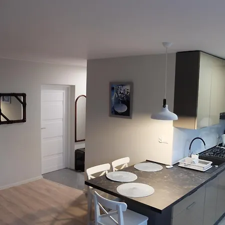 Apartamento Dla Biznesu I Rodziny Gliwice