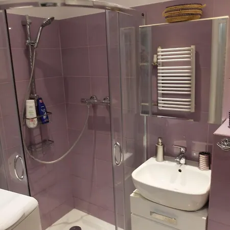 Apartamento Dla Biznesu I Rodziny Gliwice